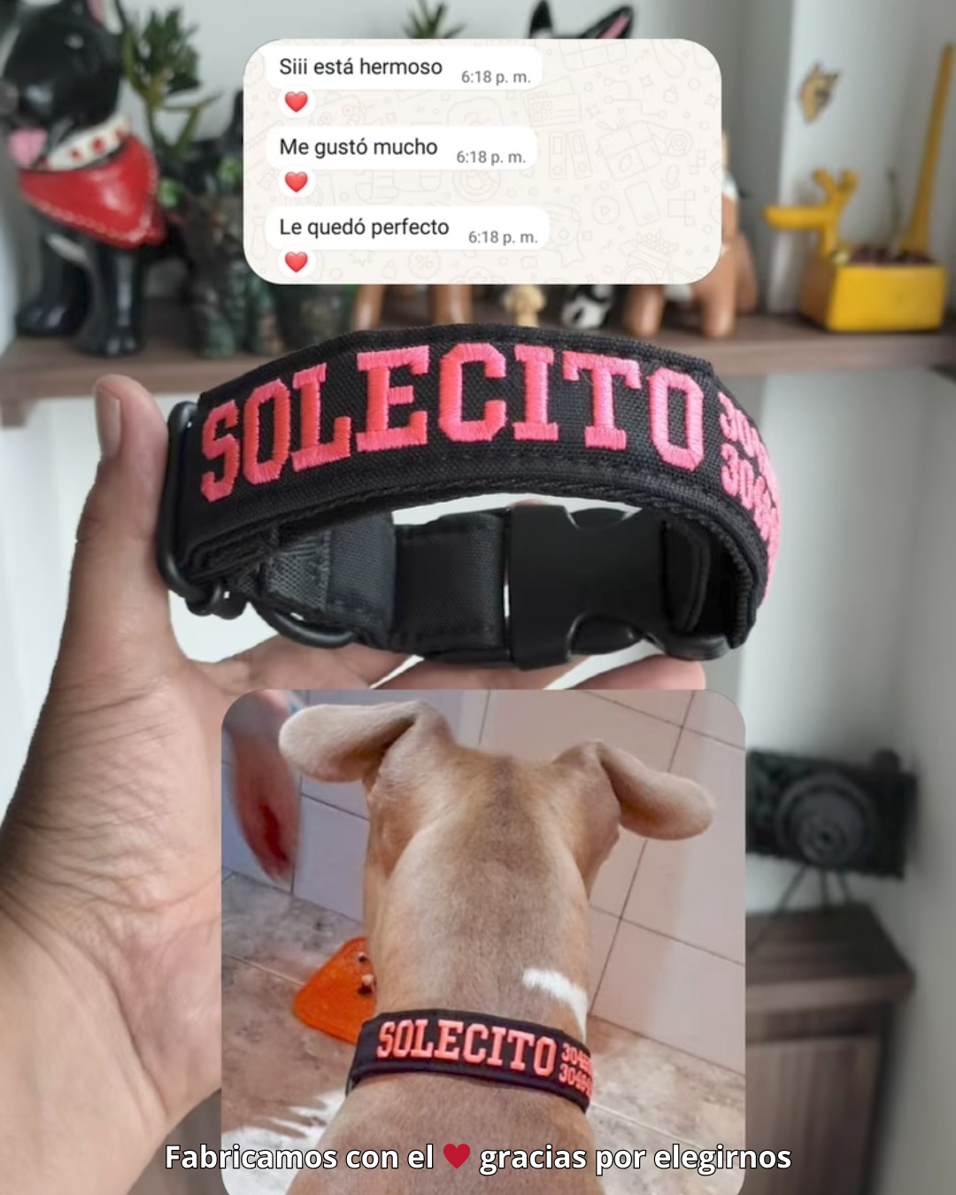 testimonio collar